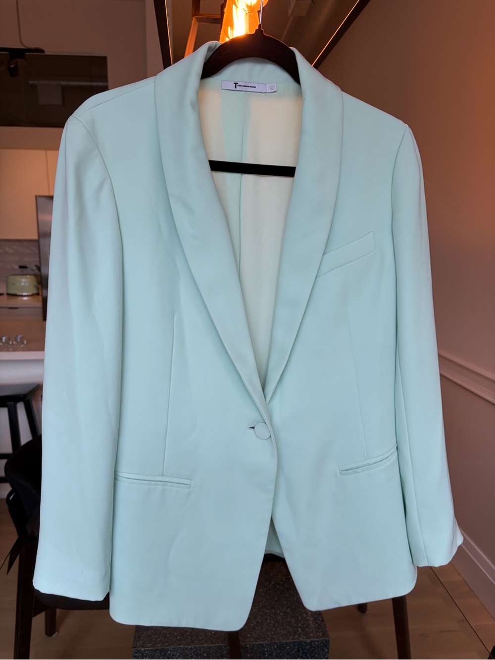 Alexander Wang Blazer in Light Green